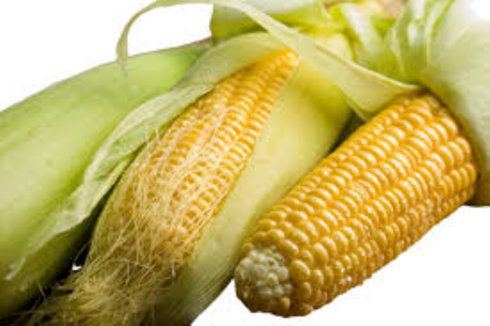 FRESH GREEN MAIZE